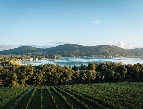 Wein aus Klagenfurt